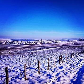 Le terroir du vignoble